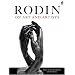 Rodin on Art and Artists (Fine Art Series)