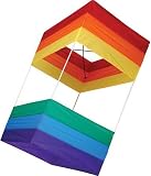 Traditional Box Kite, 20 x 40