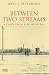 Books : Between Two Streams: A Diary from Bergen-Belsen
