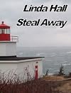 Steal Away (Teri Blake-Addison Mystery Series)