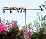 Birds on a Wire Wind Directional