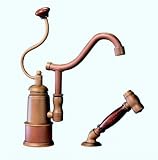 Herbeau 4102-55 De Dion Kitchen Faucet Polished Brass