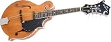 Epiphone MM50E Professional F Style Acoustic Electric Mandolin (Vintage Natural)