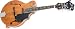 Epiphone MM50E Professional F Style Acoustic Electric Mandolin (Vintage Natural)