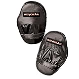 Revgear Leather Focus Mitts
