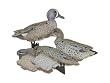 Blue Wing Teal Dozen