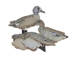 Blue Wing Teal Dozen Duck Decoys Duck