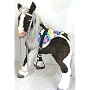 BUTTERSCOTCH S'MORES INTERACTIVE HASBRO SADDLE SET - BRIGHT FLOWERS!