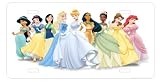 Disney Princess License Plate Sign 6'' x 12'' New Quality Aluminum
