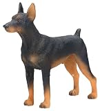 Dogs