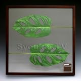F-style リーフパネル・Monstera friedrichsthalii モンステラリードリヒスターリ　625x625x30mm