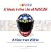 A Week in the Life of NASCAR: A View From Within from the publishers of NASCAR Scene ...