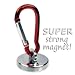 SUPER-Strong Neodymium Magnet with Carabiner Holds 35 Lbs!