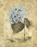 Blue Blooms II by Richard Henson Poster Print, 8.00 x 10.00