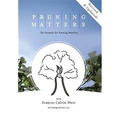 Pruning Matters: The Formula for Pruning Mastery by 