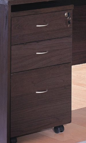 Contemporary Letter Size Portable Vertical File Cabinet with Drawers
