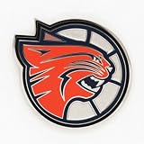 Charlotte Bobcats Official Logo Lapel Pin