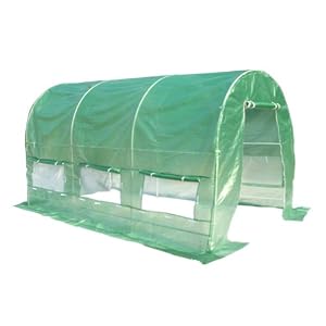 Large Heavy Green Greenhouse Hothouse