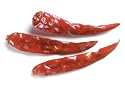 Japones Chile - 1 Lb Bag / Box Each