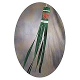 NASCAR Dale Jr. #88 Amp Wind Sock