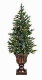 Bethlehem Lighting 5′ Noble Fir Christmas Tree with Urn – Multicolor Lights