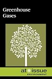 Greenhouse Gases (At Issue Series)
