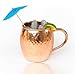 Inspired Basics Solid Copper Moscow Mule No Tin or Nickel Lining Mug Hammered Type Copper Mug 16 Oz Capacity