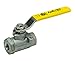 Apollo Valves - 1/4" Apollo 76-101-01A 2-Piece Standard Port Ball Valve With Mounting Pad, FPT, Stainless Steel Body