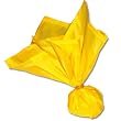 Official's Penalty Flag - Football