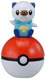 ポケットモンスター ポケモン ベストウイッシュ 通信おしらせマスコット ミジュマル