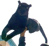LARGE STUFFED BLACK PANTHER 28-inches-Long BODY plus additional 14-inches-Long TAIL - REALISTIC BIG PLUSH WILD CAT STUFFED ANIMAL