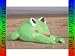 Toys : Bouncing Buddy "Froggy"