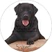 from Advanta Black Labrador Sentiment Gift Fridge Magnet