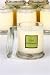 Kiwi Watermelon Soy Clean & Contemporary Jar Candle