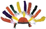 Indian Headdress
