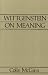 Wittgenstein on Meaning