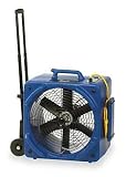 Carpet Dryer,Downdraft,1/4 HP,115 Volt Woods WFC6WRDH4