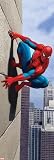 Spiderman - An der Wand Tür-Poster (158 x 53cm)