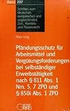 Pf�ndungsschutz f�r Arbeitsmittel und Verg�tungsforderungen bei selbst�ndiger Erwerbst�tigkeit nach  811 Abs. 1 Nrn. 5,