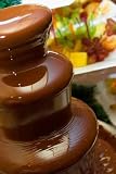 Fruit, Berries Prepared for ìàêàíèÿ in a Chocolate Fountain - 24