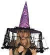 Beautiful French Veil Witch Costum Hat in Purple