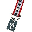 Dog Paw Print Letter B Pet Lover Charming KEYper Keychain
