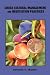 Book Cross Cultural Management and Negotiation Practices
