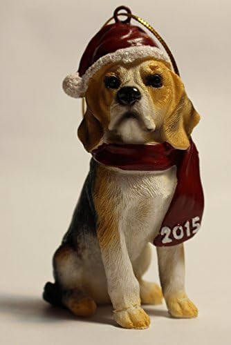 Double Treat Bones Value Pack