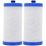 Frigidaire PureSource WF1CB 2 PACK, RF100, RG100, NGRG2000, RF-100, RG-100, NGRG-2000, 218994101, 218717805, 240389101 , 240389102, 240394501, SWF1CB, WFB, Sears Kenmore 9910, 469910, 46-9910 Filters