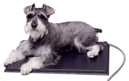 Childrens Toyshop  Pet Supplies : Heated Kennel Pad - 12.5 X 18.5