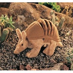 Childrens Toyshop  Toys : Armadillo Folkmanis Puppet - Plush, 12 Inches