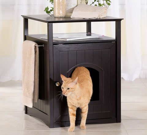 Espresso Cat Washroom
