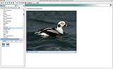 DVD British Birds Version 9 (PC)
