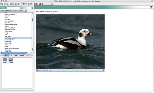 DVD British Birds Version 9 (PC)
